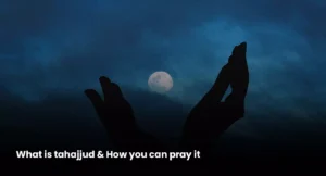 hands-raising-towards-the-moon