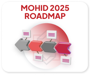 MOHID 2025 Roadmap