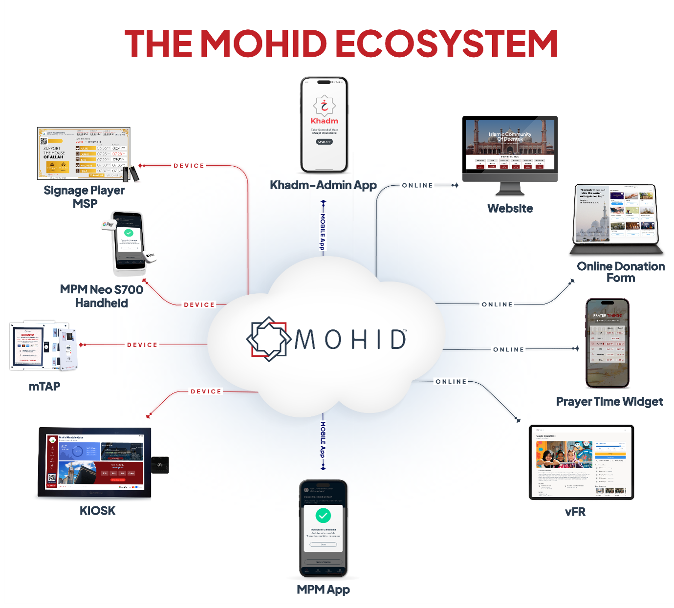 mohid echo system
